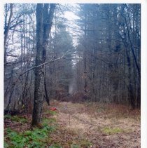 Mount Mansfield Electric Railroad
