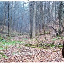 Mount Mansfield Electric Railroad
