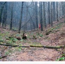 Mount Mansfield Electric Railroad