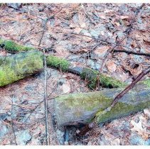 Mount Mansfield Electric Railroad