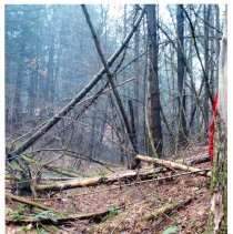 Mount Mansfield Electric Railroad