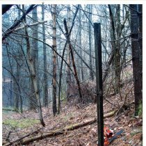 Mount Mansfield Electric Railroad