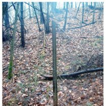 Mount Mansfield Electric Railroad