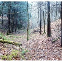 Mount Mansfield Electric Railroad