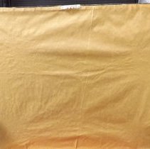 1884 Lithograph Village Map