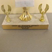 1994 Boy's Green Mt. Swimming District 4th Place