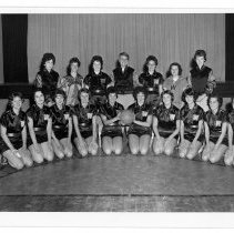 WHS - Girls Basketball Team