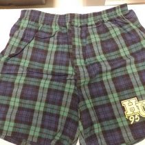 Harwood Union Class of '95 plaid shorts