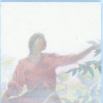 Green Mountain Coffee Notes