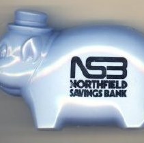 NSB Pig Bank