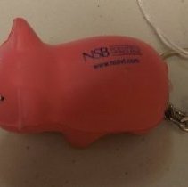 NSB Pink Pig Key Chain