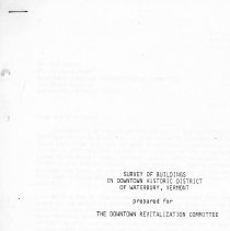 Revitalizing Waterbury