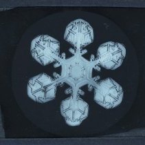6 Figured Snowflake