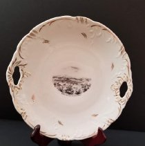 Birds Eye plate front