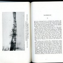 Charles J. Adams Collection