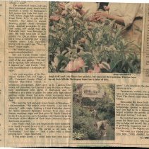 "Sisters Of The Roses"