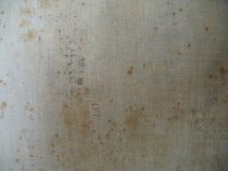 1950.004 Funk/Possible Mold