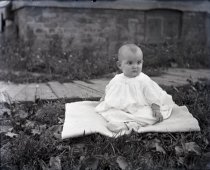 Negative, Glass-plate