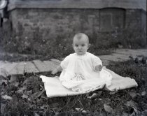 Negative, Glass-plate