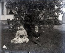 Negative, Glass-plate