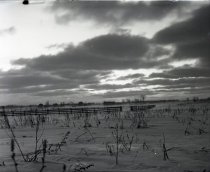 Negative, Glass-plate