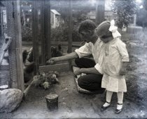 Negative, Glass-plate