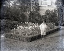 Negative, Glass-plate