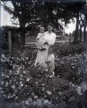 Negative, Glass-plate