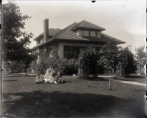 Negative, Glass-plate