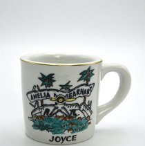 Amelia Earhart Intermediate School Cup