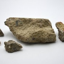 Berlin Wall Fragments
