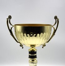 Bridisi High School ASIL Volleyball Champions (1993)