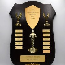 Bonn American High School Outstanding School Citizen. American School on the Rhine. 1971-1982.