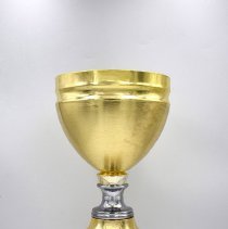 Award. Trophy. ASIL Track and Field Champions. Brindisi, Italy. Boys 1992.