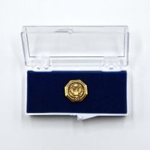 Pin. Octogon shaped, military. Eagle.