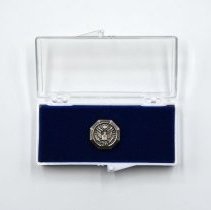 Pin. Octogon shaped, military. Eagle.