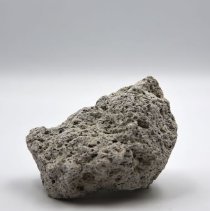 Dried Coral piece from vacation in the Pacific.