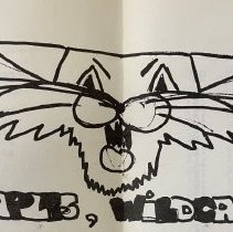 Homecoming Program. Naples High School. 1977