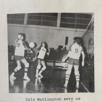 Homecoming Program. Naples High School. 1977