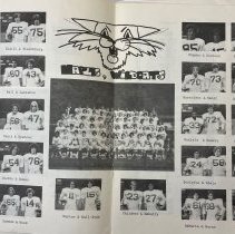 Homecoming Program. Naples High School. 1977