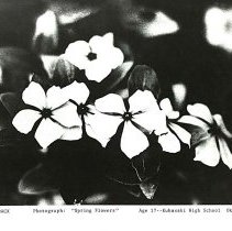 Sun Three Tokyo Japan April 1976 59