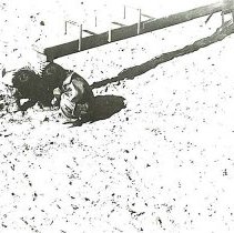 Sun Four Dodos Pacific Region 1978 149