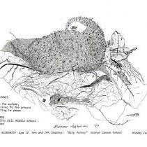 Sun Four Dodos Pacific Region 1978 108