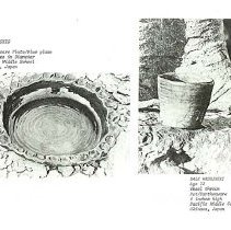 Sun Four Dodos Pacific Region 1978 110
