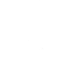 Sun Four Dodos Pacific Region 1978 1