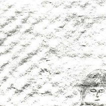 Sun Four Dodos Pacific Region 1978 101