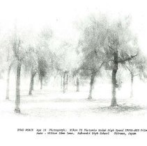 Sun Four Dodos Pacific Region 1978 86