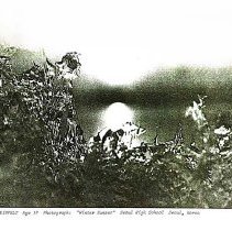 Sun Four Dodos Pacific Region 1978 105