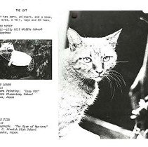 Sun Four Dodos Pacific Region 1978 141