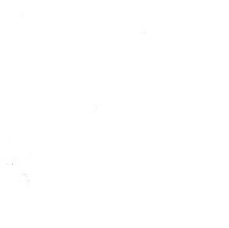 Sun Four Dodos Pacific Region 1978 175